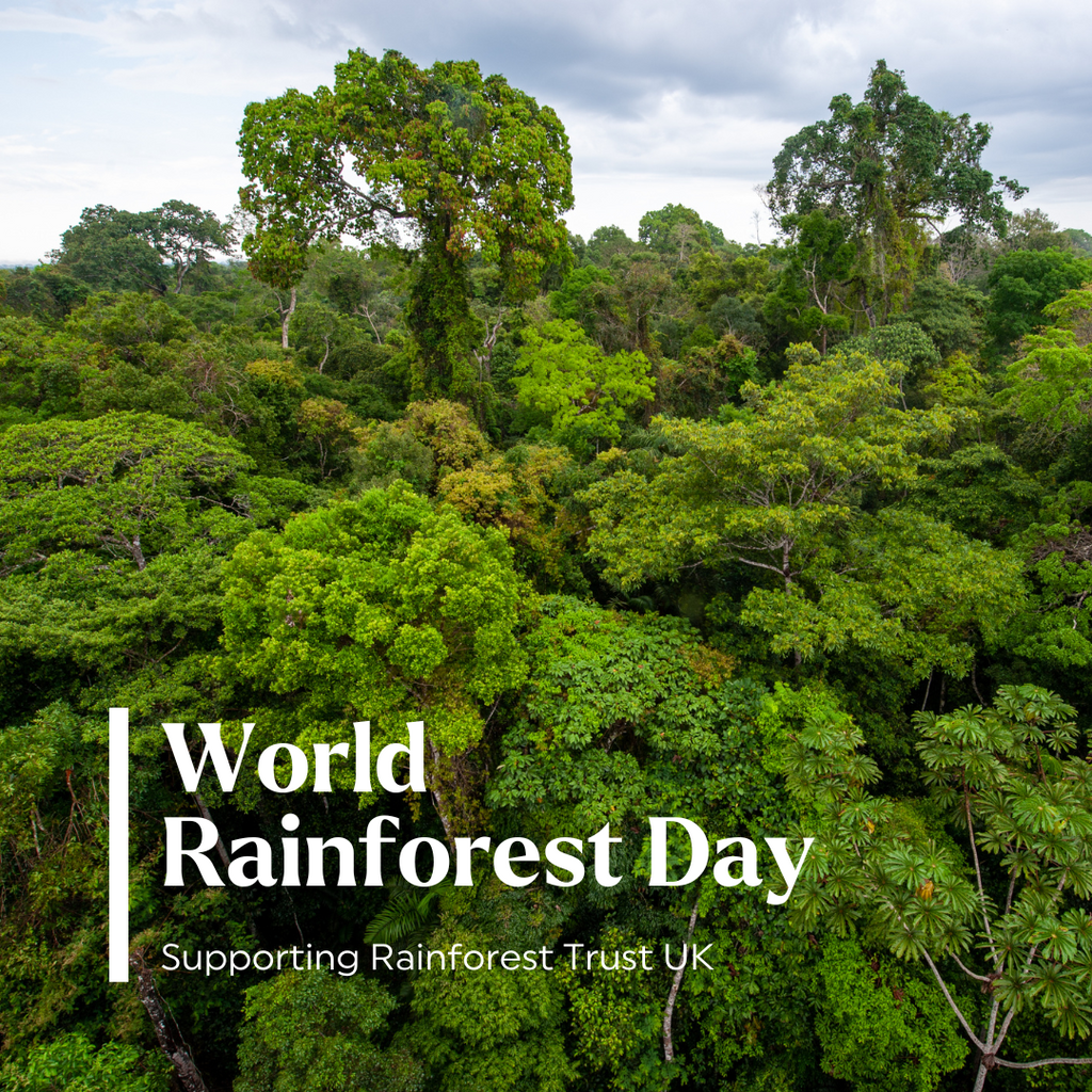 Rainforest Trust UK | World Rainforest Day